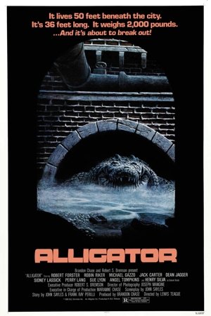 Alligator3