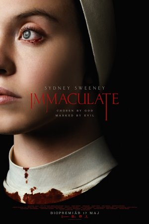 Immaculate Poster 70X100 Se