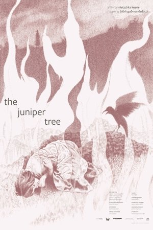 Juniper+Tree+Square+Space